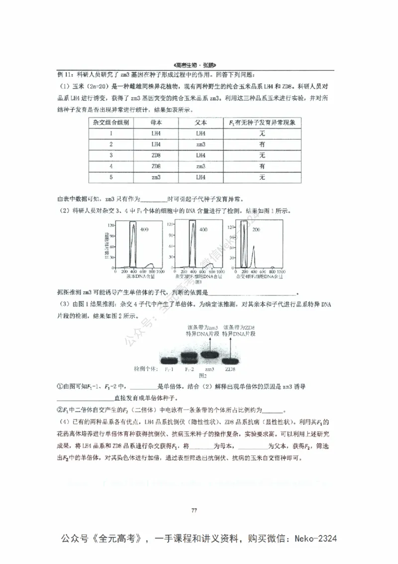 2024张鹏二轮复习讲义_2024-2025高三（6-6月题库）_2024年09月试卷_张鹏