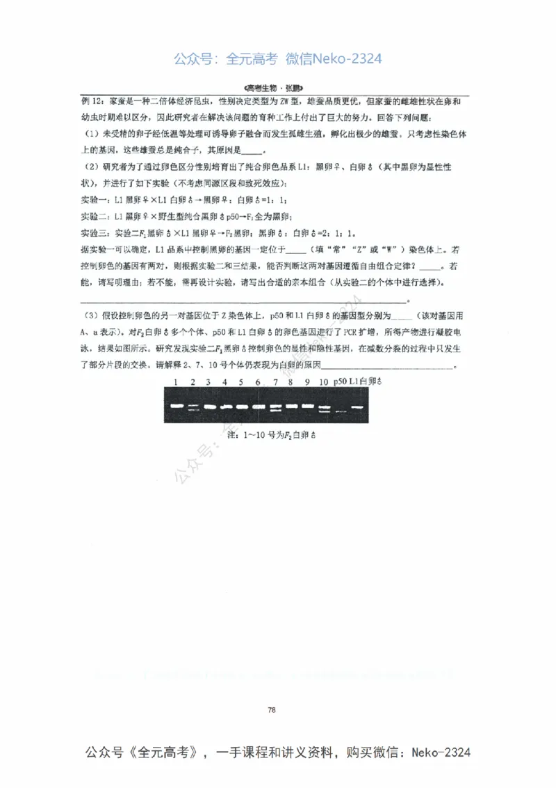 2024张鹏二轮复习讲义_2024-2025高三（6-6月题库）_2024年09月试卷_张鹏