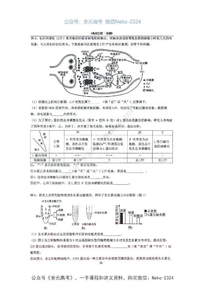 2024张鹏二轮复习讲义_2024-2025高三（6-6月题库）_2024年09月试卷_张鹏