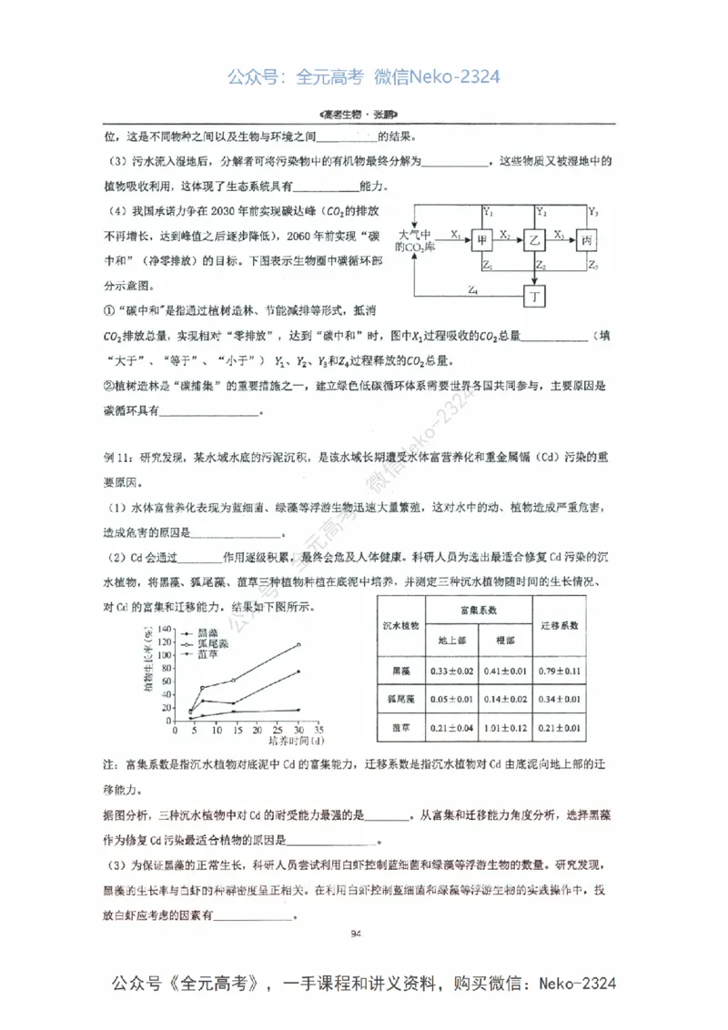 2024张鹏二轮复习讲义_2024-2025高三（6-6月题库）_2024年09月试卷_张鹏