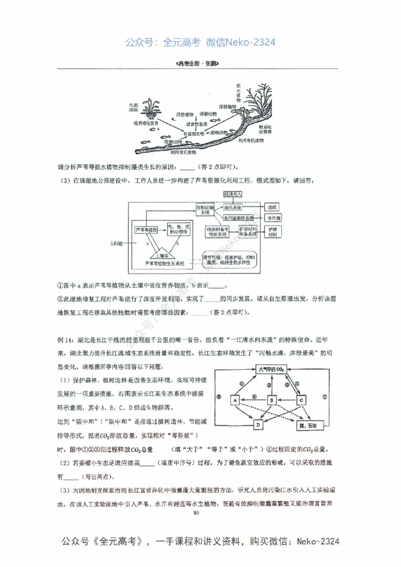 2024张鹏二轮复习讲义_2024-2025高三（6-6月题库）_2024年09月试卷_张鹏