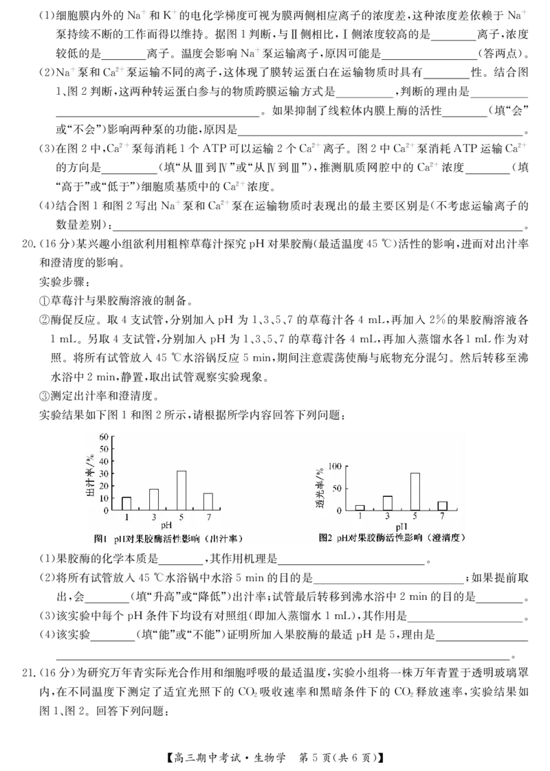 25-L-190C-生物_2024-2025高三（6-6月题库）_2024年11月试卷_1116九师联盟&bull;湖北省宜昌协作体2025届高三11月联考（全科）_生物