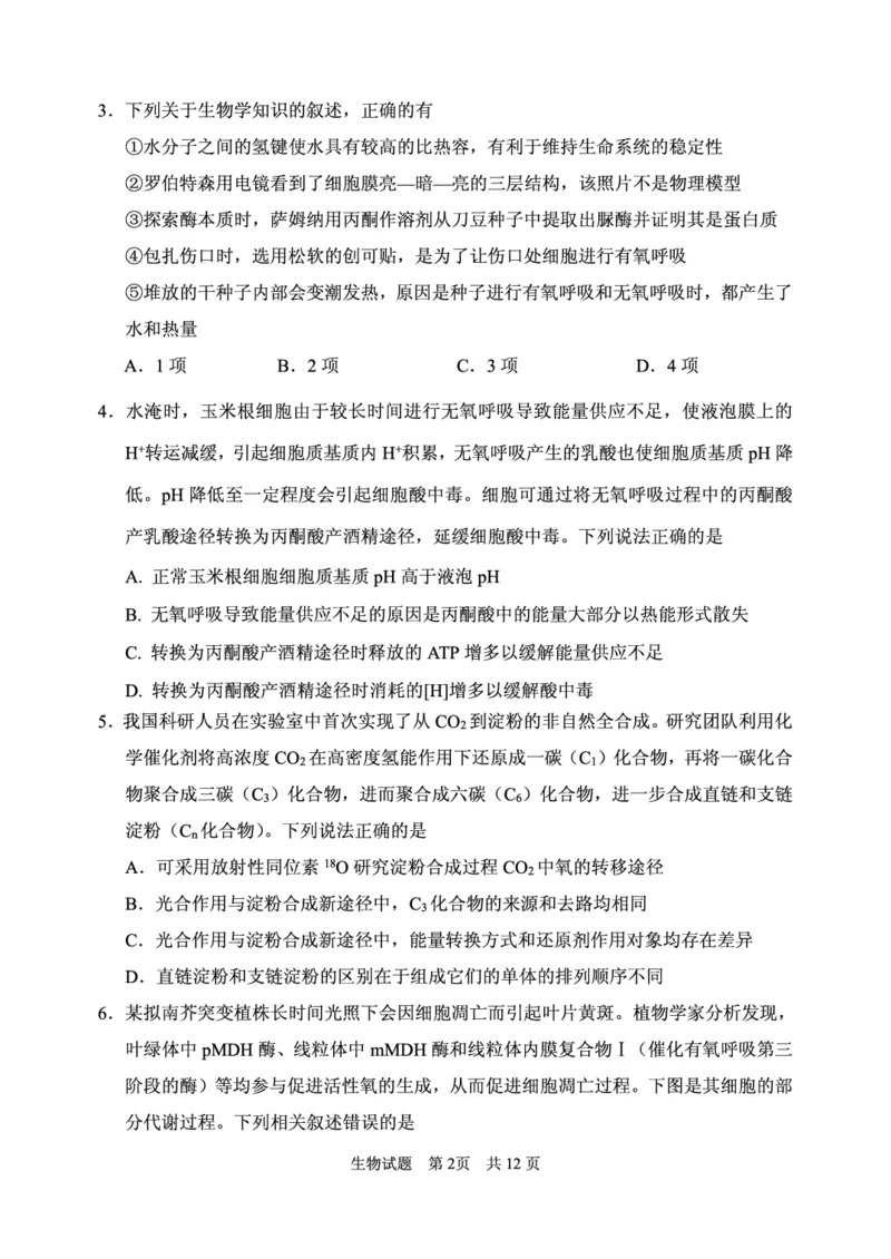 2024年11月高三实验二诊生物试题_2024-2025高三（6-6月题库）_2024年11月试卷_1110山东省山东实验中学2025届高三第二次诊断考试（11月诊断）