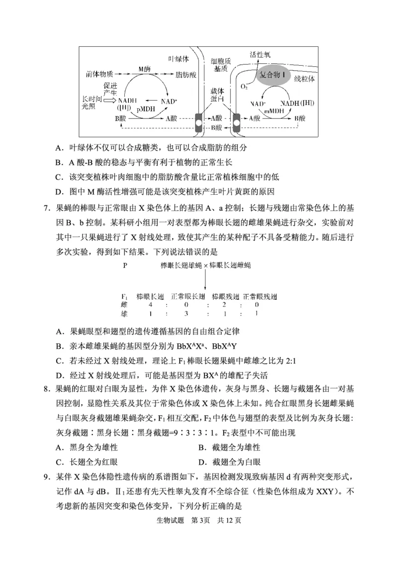2024年11月高三实验二诊生物试题_2024-2025高三（6-6月题库）_2024年11月试卷_1110山东省山东实验中学2025届高三第二次诊断考试（11月诊断）