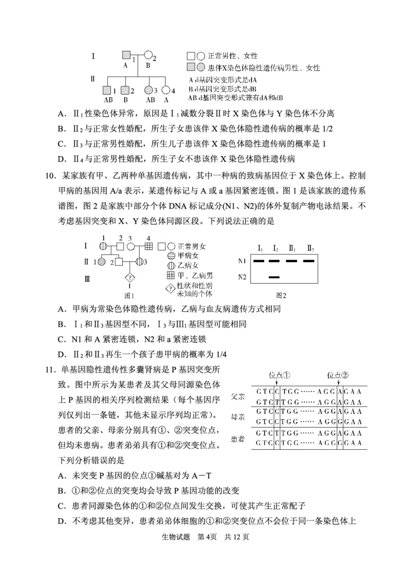 2024年11月高三实验二诊生物试题_2024-2025高三（6-6月题库）_2024年11月试卷_1110山东省山东实验中学2025届高三第二次诊断考试（11月诊断）