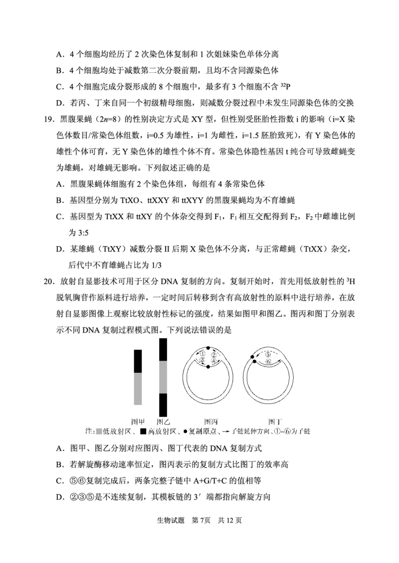 2024年11月高三实验二诊生物试题_2024-2025高三（6-6月题库）_2024年11月试卷_1110山东省山东实验中学2025届高三第二次诊断考试（11月诊断）