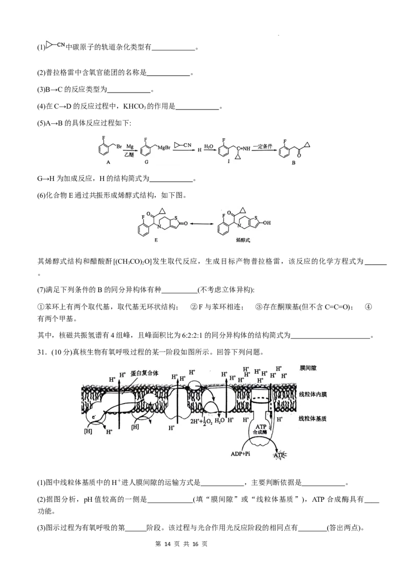 洛平许济2023--2024学年高三第四次质量检测_2024年5月_01按日期_10号_2024届河南省平许济洛四市高三下学期第四次质量检测_洛平许济2023--2024学年高三第四次质量检测