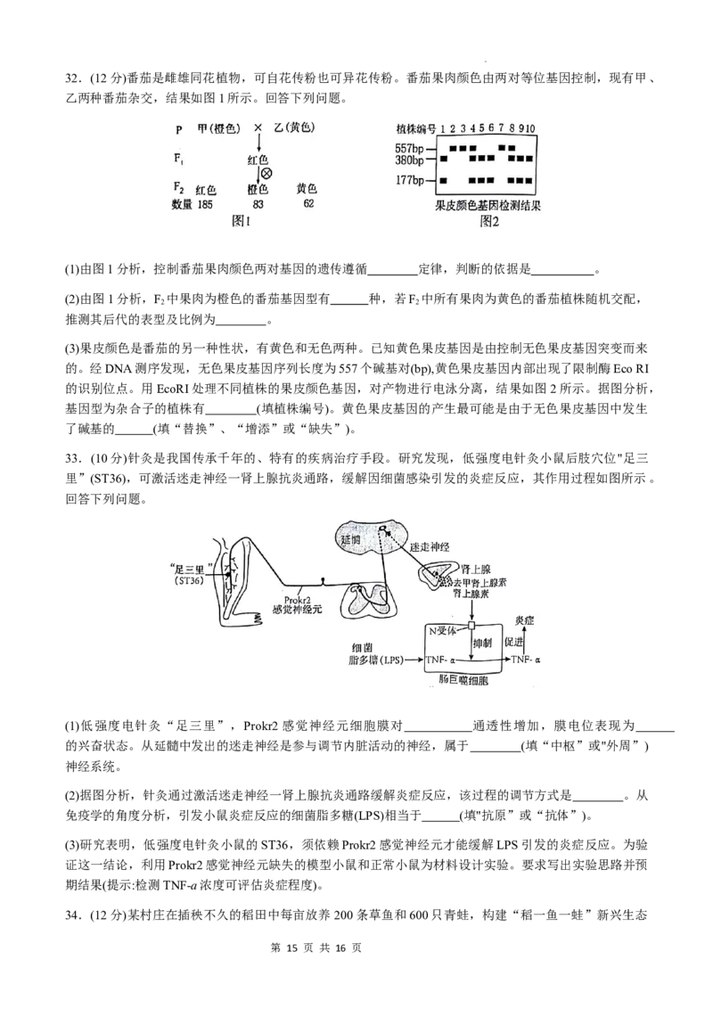 洛平许济2023--2024学年高三第四次质量检测_2024年5月_01按日期_10号_2024届河南省平许济洛四市高三下学期第四次质量检测_洛平许济2023--2024学年高三第四次质量检测
