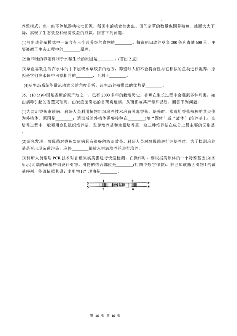 洛平许济2023--2024学年高三第四次质量检测_2024年5月_01按日期_10号_2024届河南省平许济洛四市高三下学期第四次质量检测_洛平许济2023--2024学年高三第四次质量检测
