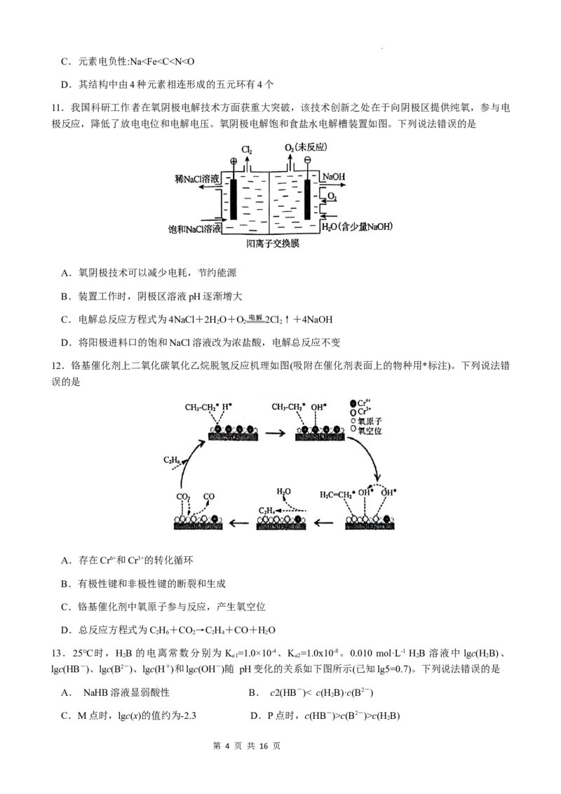 洛平许济2023--2024学年高三第四次质量检测_2024年5月_01按日期_10号_2024届河南省平许济洛四市高三下学期第四次质量检测_洛平许济2023--2024学年高三第四次质量检测