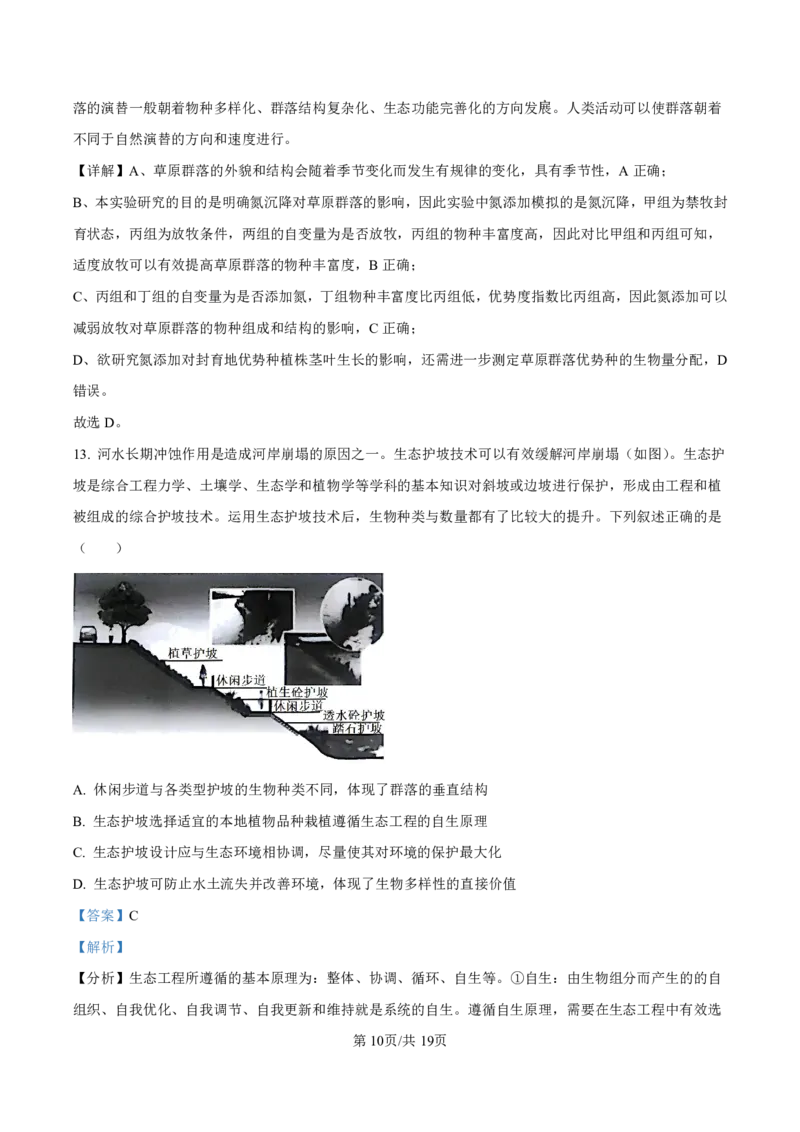 2025届甘肃省白银市靖远一中高三11月期中考-生物答案_2024-2025高三（6-6月题库）_2024年11月试卷_11262025届甘肃省白银市靖远一中高三11月期中考
