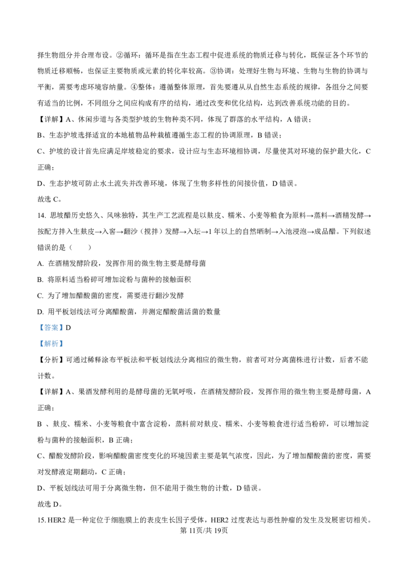 2025届甘肃省白银市靖远一中高三11月期中考-生物答案_2024-2025高三（6-6月题库）_2024年11月试卷_11262025届甘肃省白银市靖远一中高三11月期中考