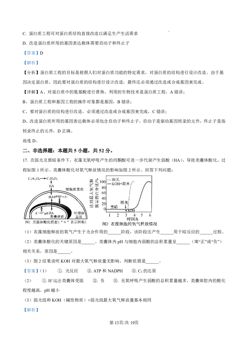 2025届甘肃省白银市靖远一中高三11月期中考-生物答案_2024-2025高三（6-6月题库）_2024年11月试卷_11262025届甘肃省白银市靖远一中高三11月期中考