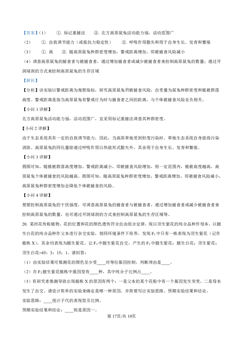 2025届甘肃省白银市靖远一中高三11月期中考-生物答案_2024-2025高三（6-6月题库）_2024年11月试卷_11262025届甘肃省白银市靖远一中高三11月期中考
