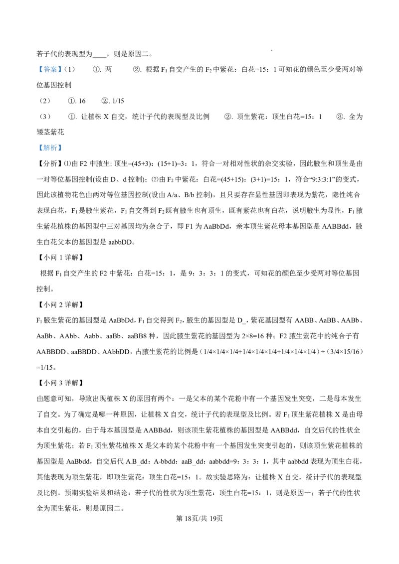 2025届甘肃省白银市靖远一中高三11月期中考-生物答案_2024-2025高三（6-6月题库）_2024年11月试卷_11262025届甘肃省白银市靖远一中高三11月期中考