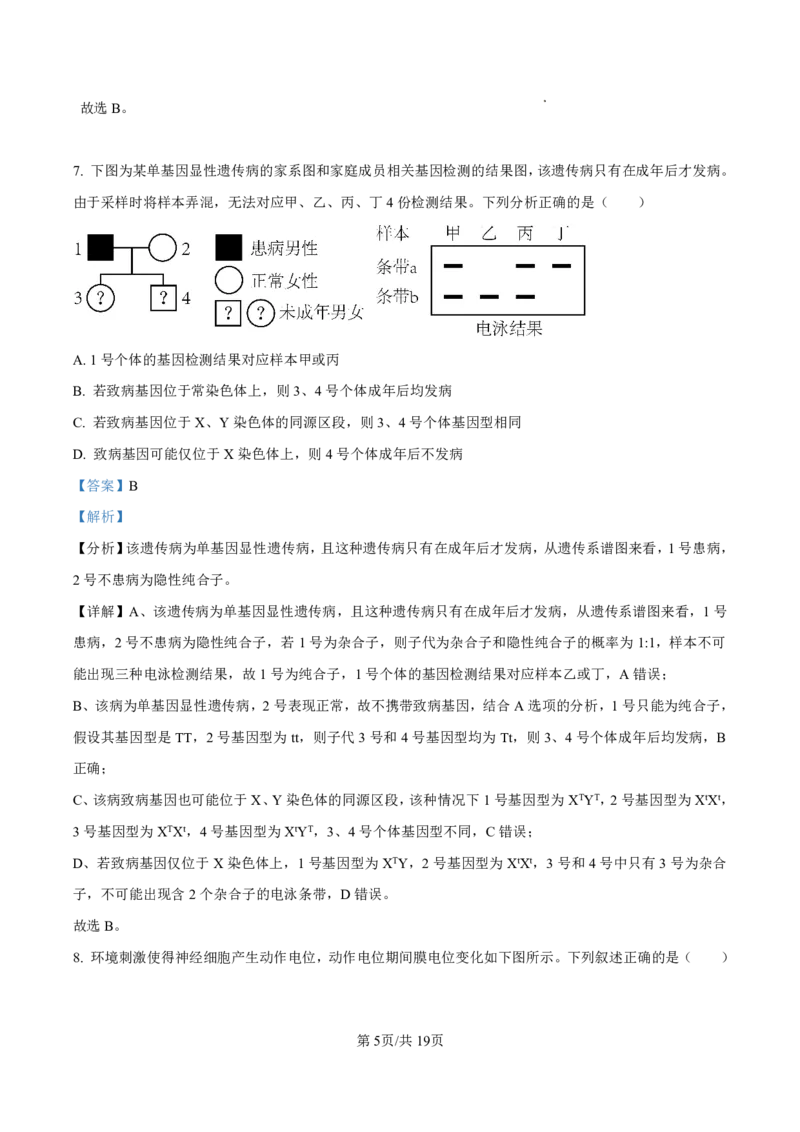2025届甘肃省白银市靖远一中高三11月期中考-生物答案_2024-2025高三（6-6月题库）_2024年11月试卷_11262025届甘肃省白银市靖远一中高三11月期中考