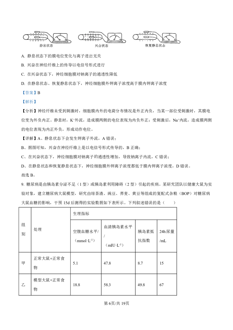 2025届甘肃省白银市靖远一中高三11月期中考-生物答案_2024-2025高三（6-6月题库）_2024年11月试卷_11262025届甘肃省白银市靖远一中高三11月期中考