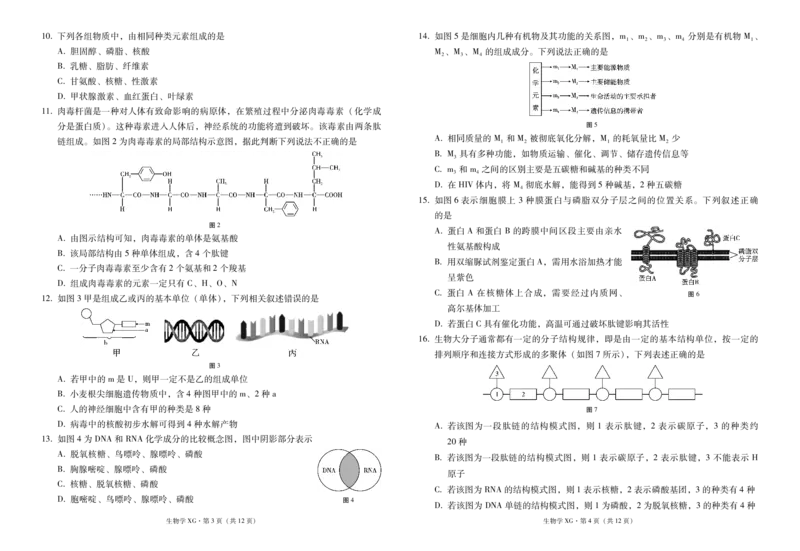 下关一中教育集团2023～2024学年高一年级上学期期中考生物-试卷(1)_2023年11月_0211月合集_2024届云南省大理下关第一中学高三上学期11月期中考试