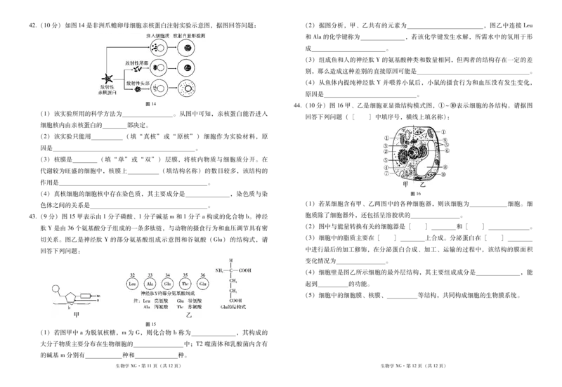 下关一中教育集团2023～2024学年高一年级上学期期中考生物-试卷(1)_2023年11月_0211月合集_2024届云南省大理下关第一中学高三上学期11月期中考试
