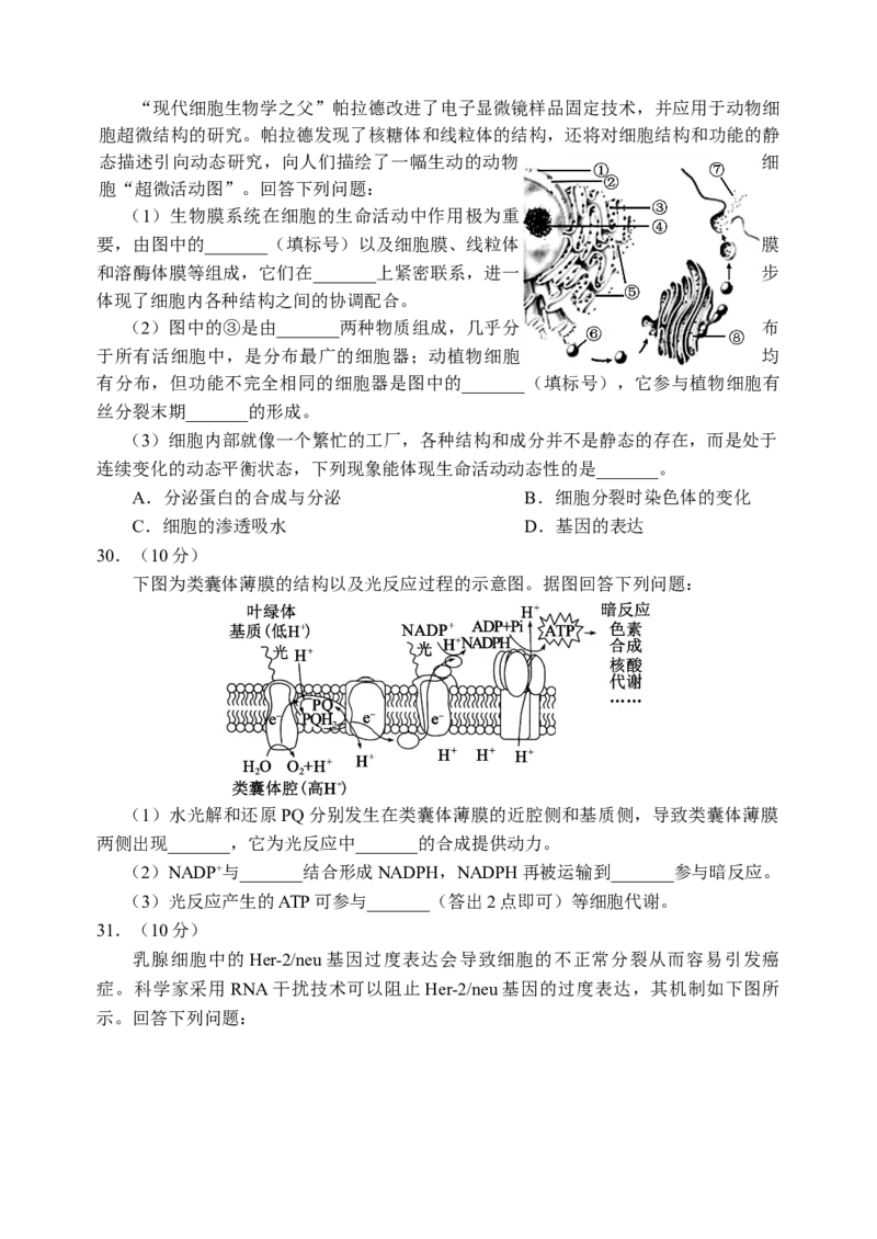 2024届高三第一次联考理科综合能力测试试题_2023年11月_01每日更新_27号_2024届四川省容城名校联盟高三第一次联考_四川省2024届容城名校联盟高三第一次联考理综