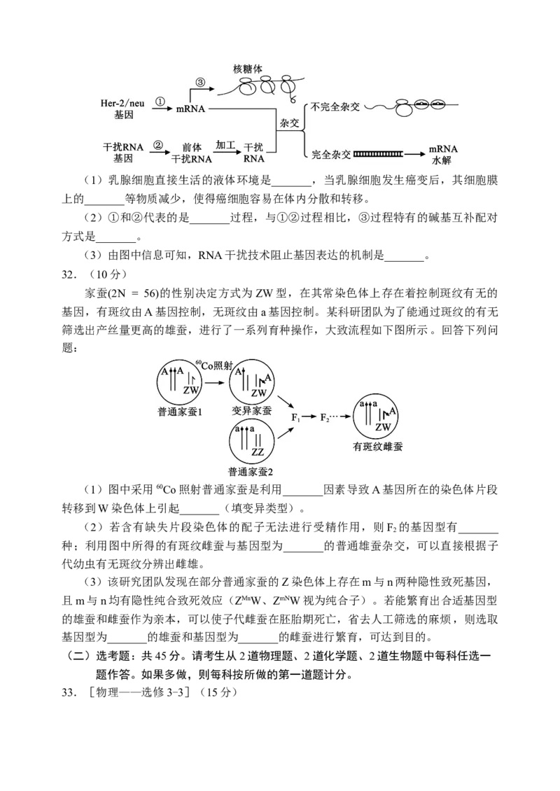 2024届高三第一次联考理科综合能力测试试题_2023年11月_01每日更新_27号_2024届四川省容城名校联盟高三第一次联考_四川省2024届容城名校联盟高三第一次联考理综