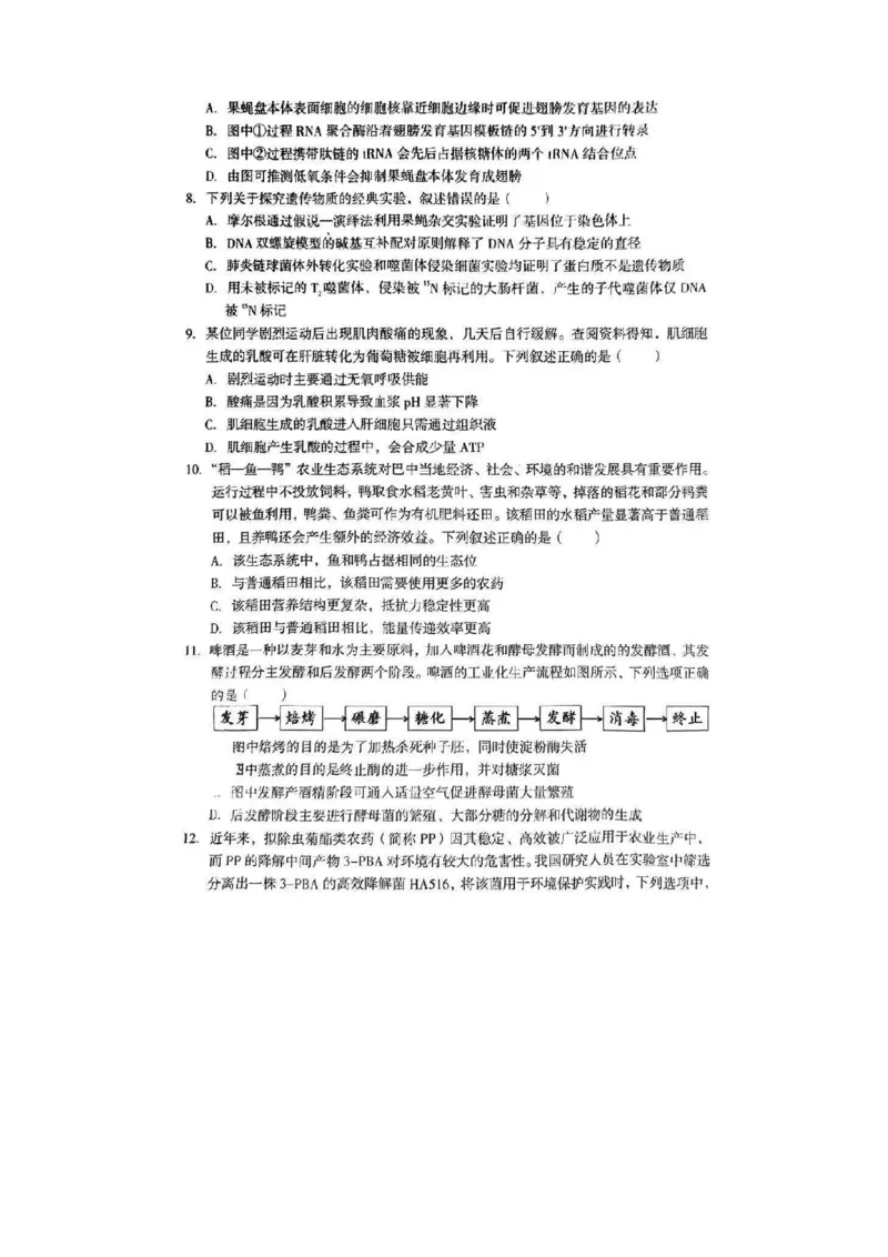 2025届四川省巴中市高三9月零诊考试-生物试题+答案_2024-2025高三（6-6月题库）_2024年09月试卷_09212025届四川省巴中市高三9月零诊考试