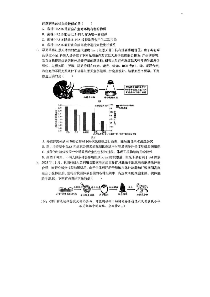 2025届四川省巴中市高三9月零诊考试-生物试题+答案_2024-2025高三（6-6月题库）_2024年09月试卷_09212025届四川省巴中市高三9月零诊考试