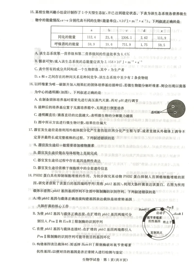 湖北省高中名校联盟2024届高三第三次联考综合测评生物_2024年2月_01每日更新_04号_2024届湖北省圆创高中名校联盟高三第三次联考综合测评