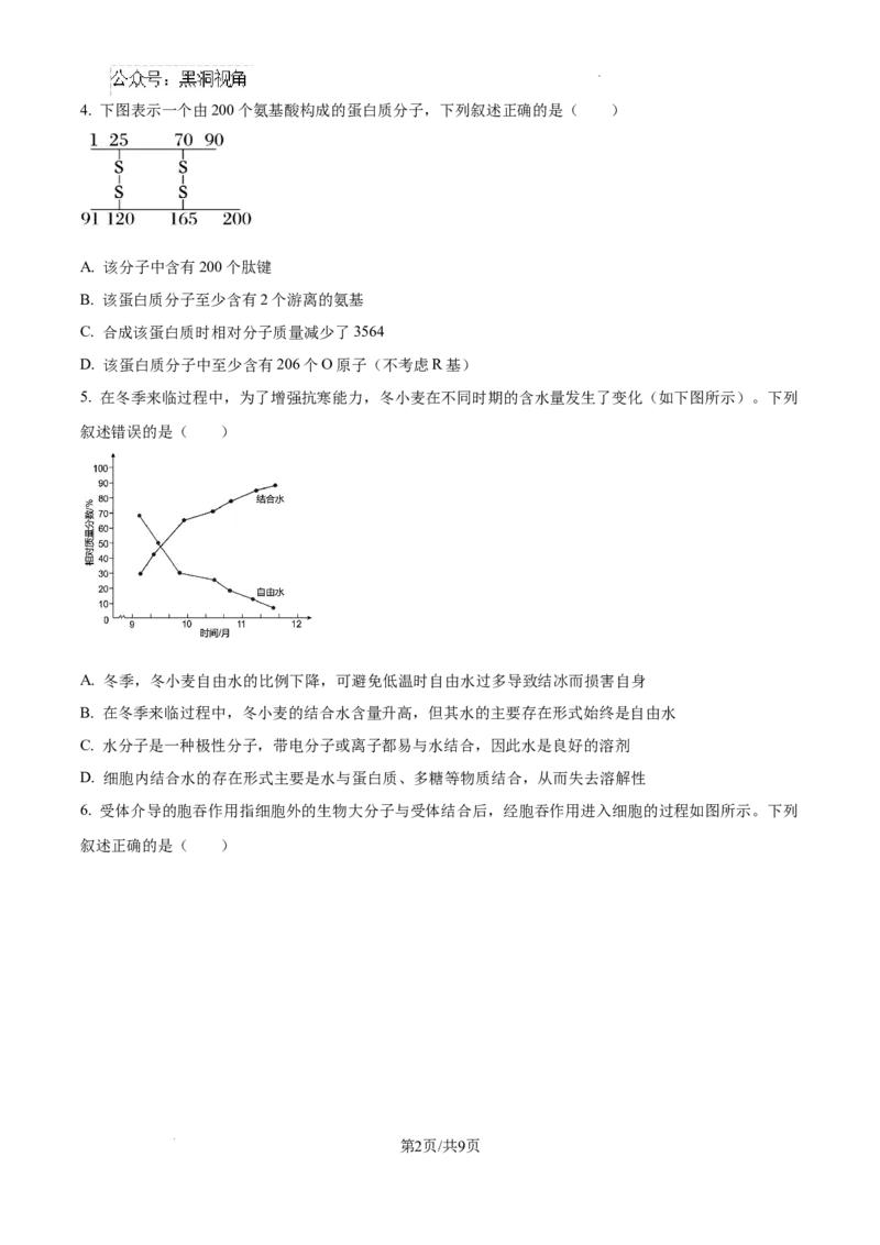 2025届银川一中高三第二次月考生物试卷_2024-2025高三（6-6月题库）_2024年10月试卷_1007宁夏回族自治区银川一中2024-2025学年高三上学期第二次月考
