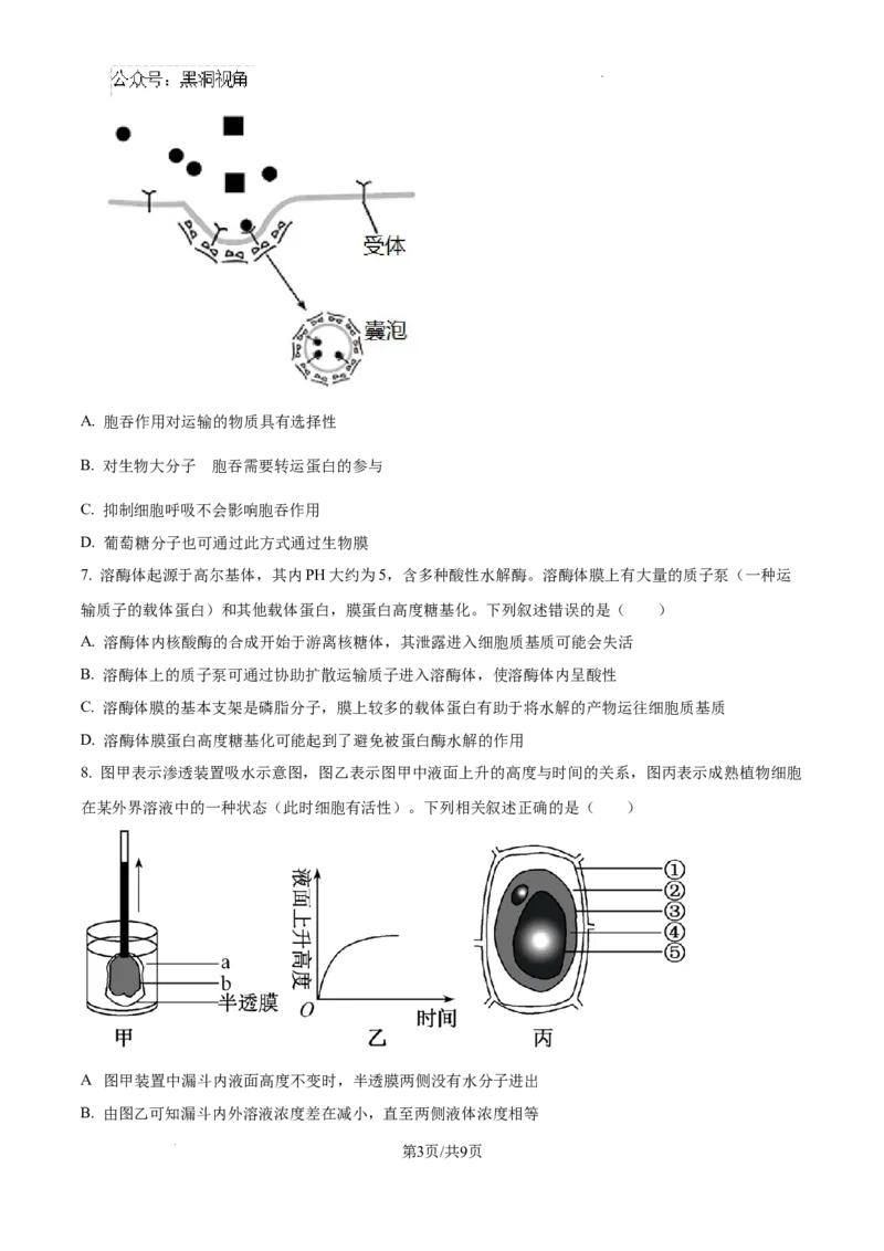 2025届银川一中高三第二次月考生物试卷_2024-2025高三（6-6月题库）_2024年10月试卷_1007宁夏回族自治区银川一中2024-2025学年高三上学期第二次月考