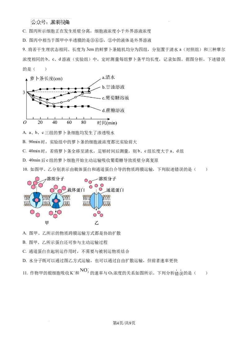 2025届银川一中高三第二次月考生物试卷_2024-2025高三（6-6月题库）_2024年10月试卷_1007宁夏回族自治区银川一中2024-2025学年高三上学期第二次月考
