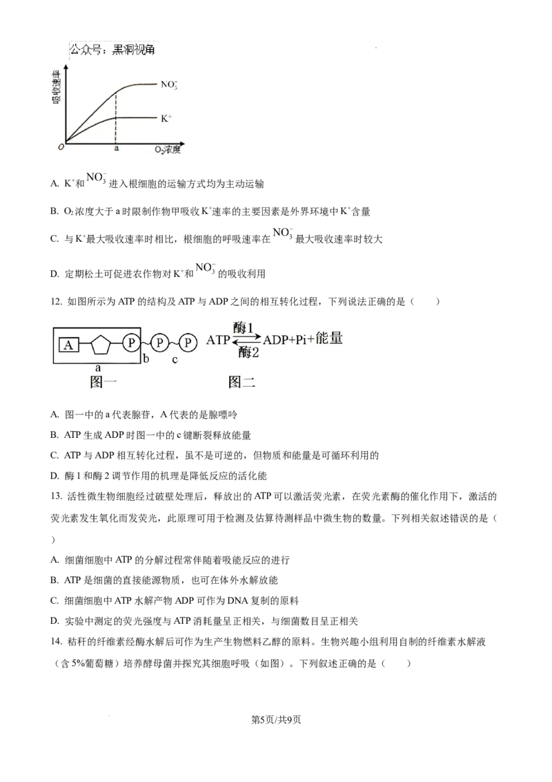 2025届银川一中高三第二次月考生物试卷_2024-2025高三（6-6月题库）_2024年10月试卷_1007宁夏回族自治区银川一中2024-2025学年高三上学期第二次月考