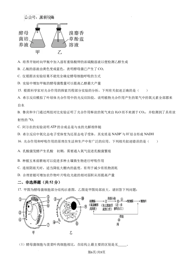 2025届银川一中高三第二次月考生物试卷_2024-2025高三（6-6月题库）_2024年10月试卷_1007宁夏回族自治区银川一中2024-2025学年高三上学期第二次月考