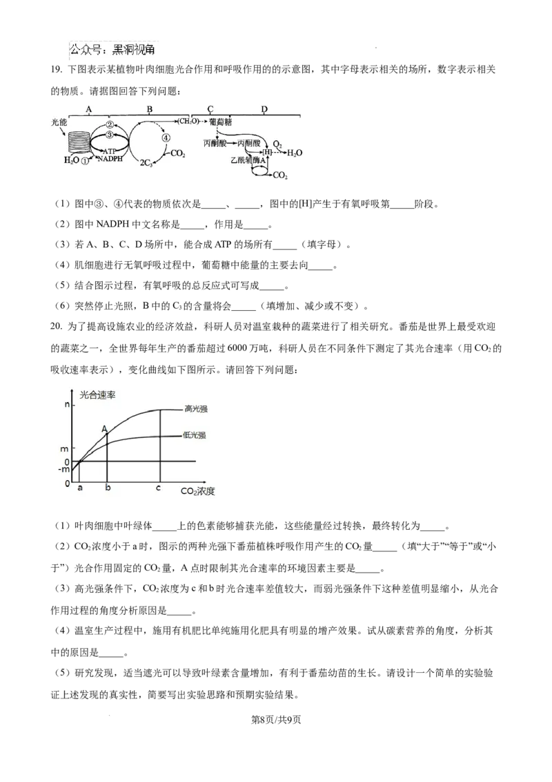 2025届银川一中高三第二次月考生物试卷_2024-2025高三（6-6月题库）_2024年10月试卷_1007宁夏回族自治区银川一中2024-2025学年高三上学期第二次月考