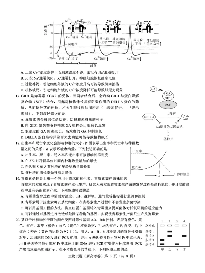 新高考卷名校教研联盟2024届高三3月联考生物_2024年3月_013月合集_2024届名校教研联盟高三3月联考（新高考卷）_名校教研联盟2024届高三3月联考（新高考卷）生物