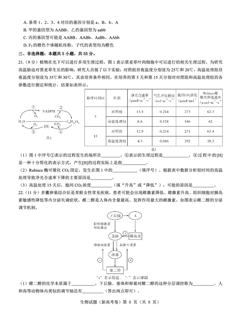 新高考卷名校教研联盟2024届高三3月联考生物_2024年3月_013月合集_2024届名校教研联盟高三3月联考（新高考卷）_名校教研联盟2024届高三3月联考（新高考卷）生物