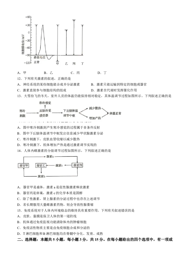 内蒙古赤峰市名校2024-2025学年高二上学期期中联考生物试题（含答案）_2024-2025高二（7-7月题库）_2024年11月试卷_1122金太阳内蒙古赤峰市名校2024-2025学年高二期中联考