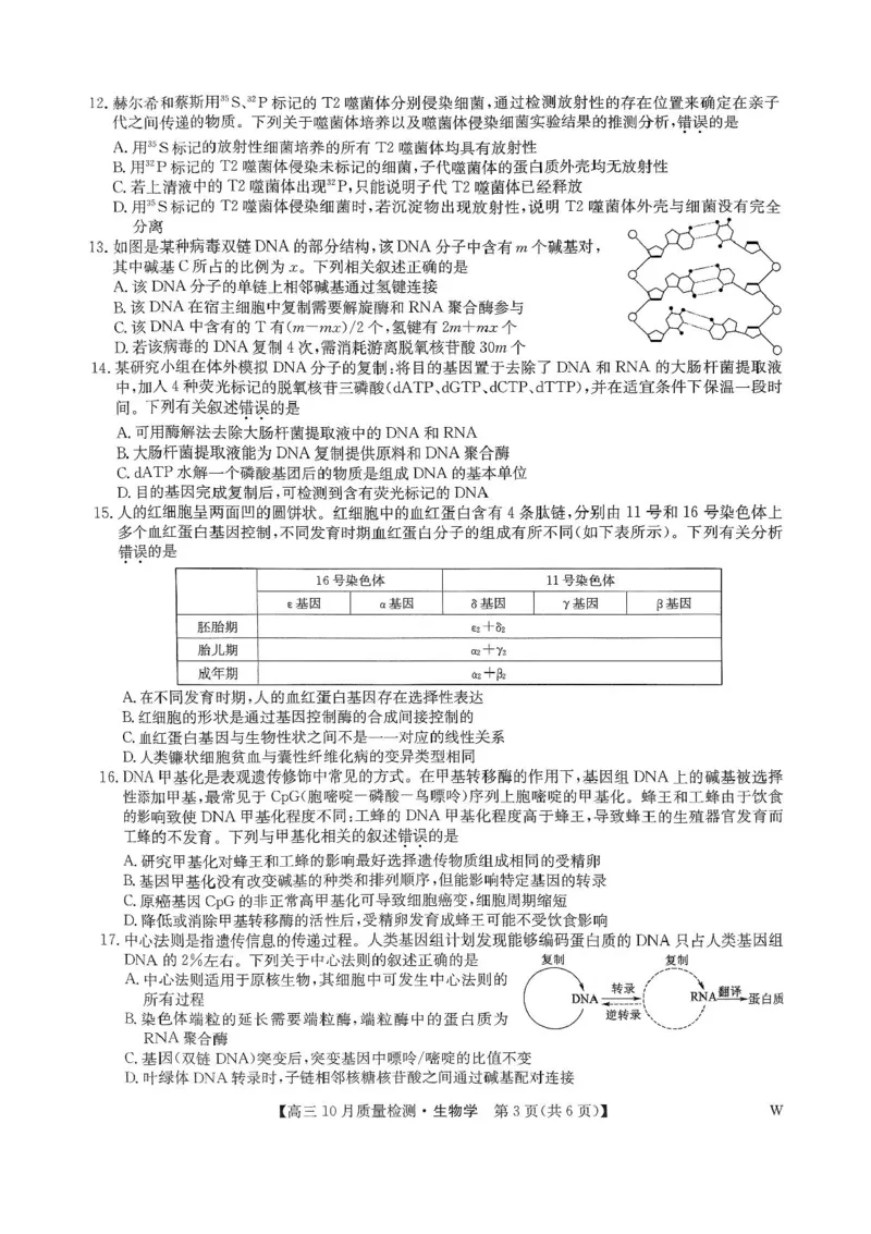 2025届九师联盟高三10月期中联考生物试题（W）+答案_2024-2025高三（6-6月题库）_2024年10月试卷_10262025届九师联盟高三10月期中联考（10.24）