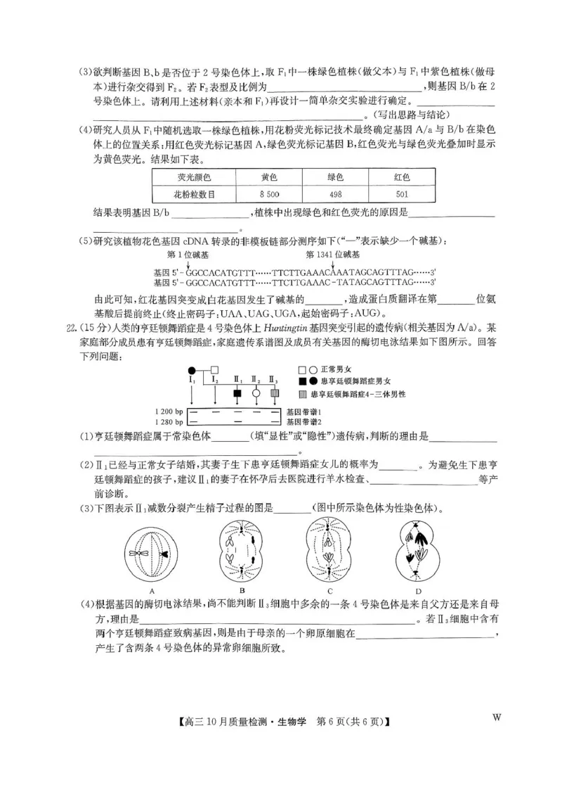 2025届九师联盟高三10月期中联考生物试题（W）+答案_2024-2025高三（6-6月题库）_2024年10月试卷_10262025届九师联盟高三10月期中联考（10.24）