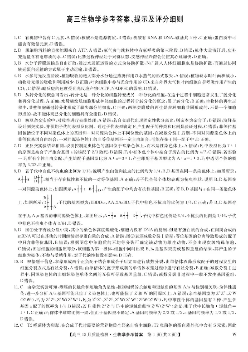 2025届九师联盟高三10月期中联考生物试题（W）+答案_2024-2025高三（6-6月题库）_2024年10月试卷_10262025届九师联盟高三10月期中联考（10.24）