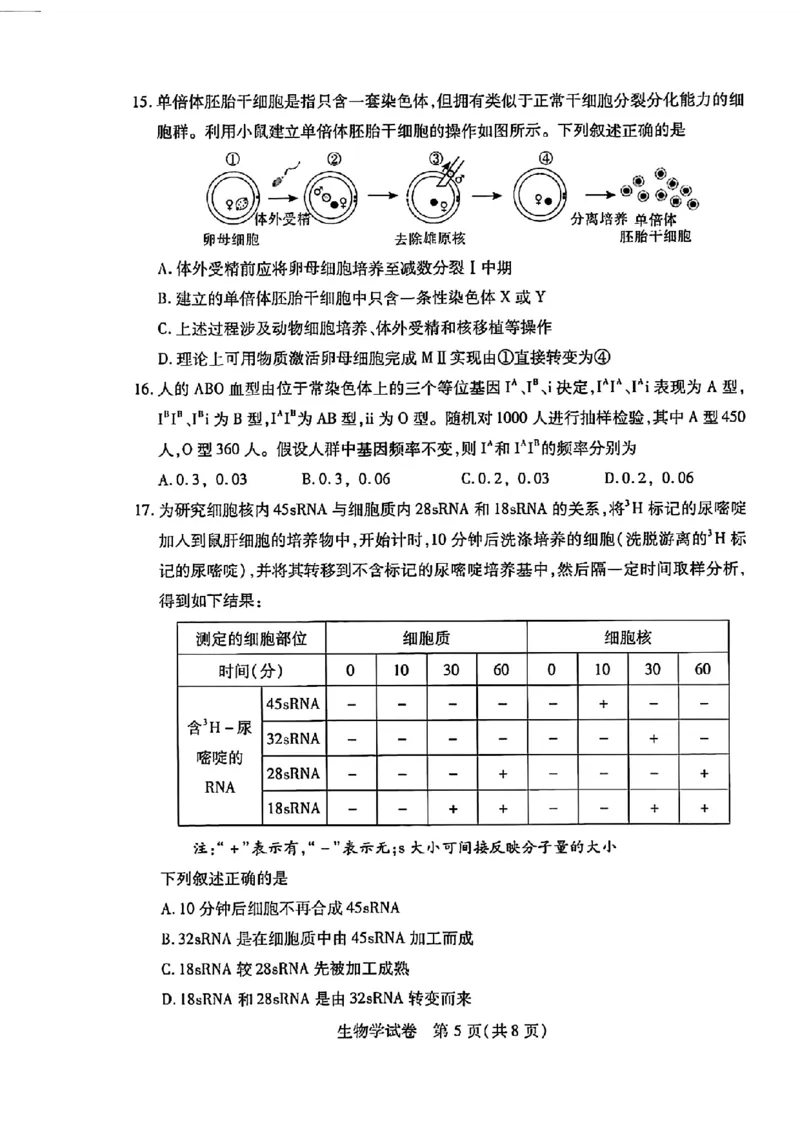 湖北省武汉市2024届高三二月调研考试生物学试卷_2024年3月_013月合集_2024届湖北省武汉市高三二月调研考试_2024届湖北省武汉市高三二月调研考试生物