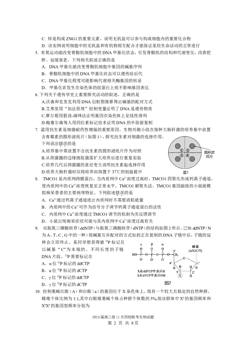2024届高三级11月四校联考生物试题（11.3）(1)_2023年11月_0211月合集_2024届广东省汕头市金山中学、广州六中、佛山一中、中山一中2024届高三上学期四校期中联考