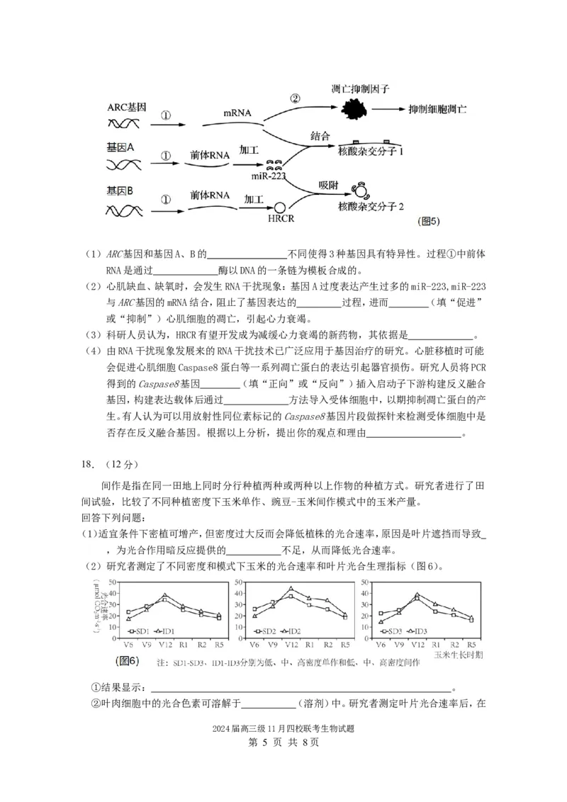 2024届高三级11月四校联考生物试题（11.3）(1)_2023年11月_0211月合集_2024届广东省汕头市金山中学、广州六中、佛山一中、中山一中2024届高三上学期四校期中联考