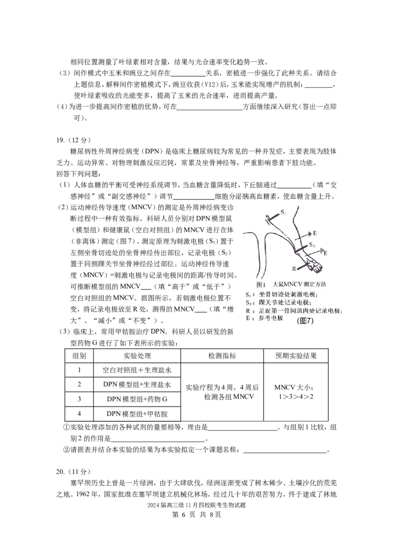 2024届高三级11月四校联考生物试题（11.3）(1)_2023年11月_0211月合集_2024届广东省汕头市金山中学、广州六中、佛山一中、中山一中2024届高三上学期四校期中联考
