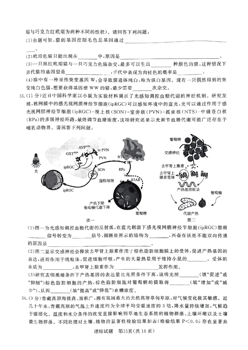 河南省部分高中2023-2024学年下学期高三5月联和测评-理综_2024年5月_01按日期_21号_2024届河南省青桐鸣高三5月大联考_2024届河南省青桐鸣高三5月大联考-理综（含答案）