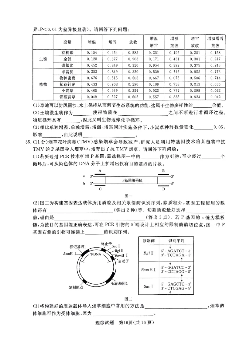 河南省部分高中2023-2024学年下学期高三5月联和测评-理综_2024年5月_01按日期_21号_2024届河南省青桐鸣高三5月大联考_2024届河南省青桐鸣高三5月大联考-理综（含答案）