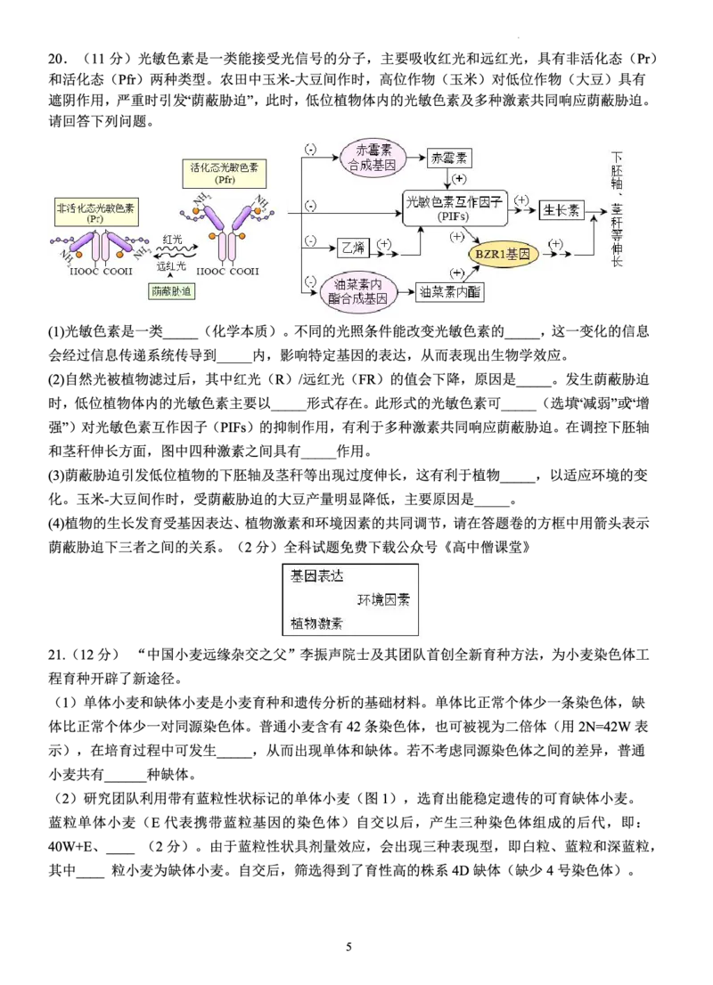 江苏省扬州中学2022-2023学年高三下学期3月月考生物试题(1)_2024年2月_022月合集_2023届江苏省扬州中学高三下学期3月阶段调研全科
