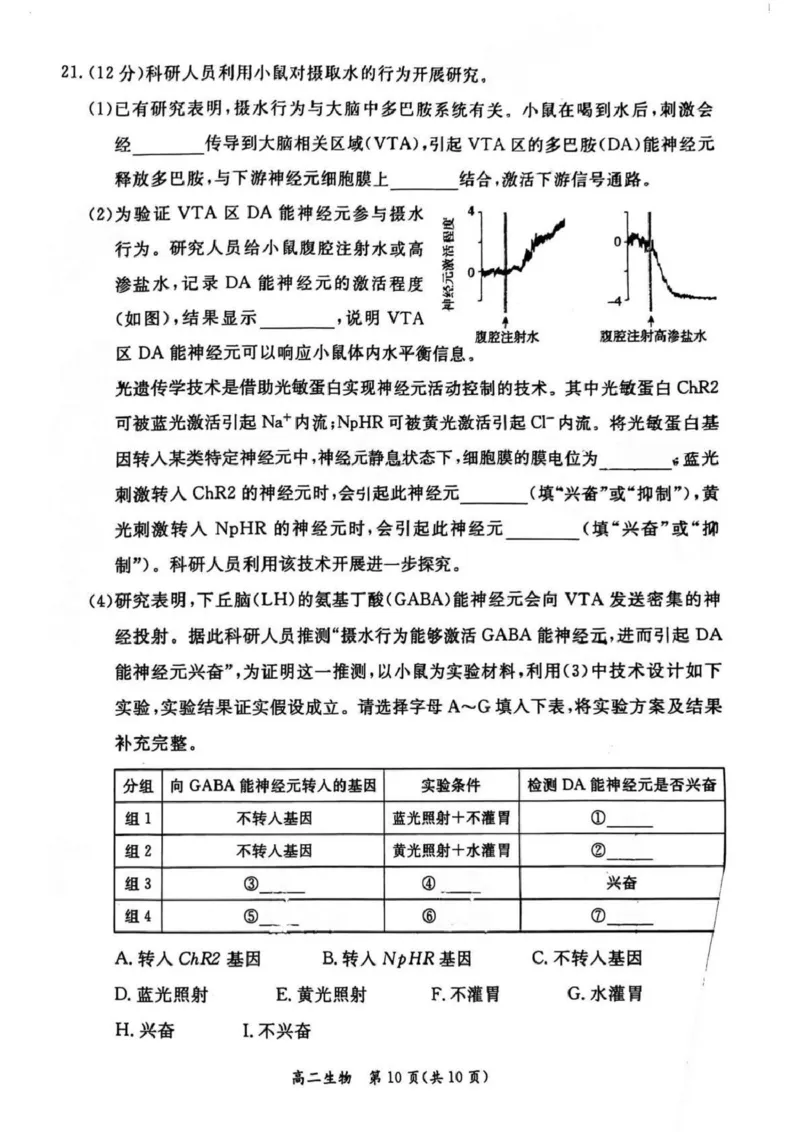 北京市东城区2024-2025学年高二上学期期末考试生物PDF版含答案_2024-2025高二（7-7月题库）_2025年01月试卷_0124北京市东城区2024-2025学年高二上学期期末考试