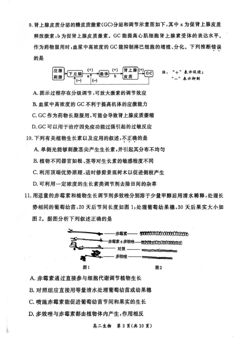 北京市东城区2024-2025学年高二上学期期末考试生物PDF版含答案_2024-2025高二（7-7月题库）_2025年01月试卷_0124北京市东城区2024-2025学年高二上学期期末考试