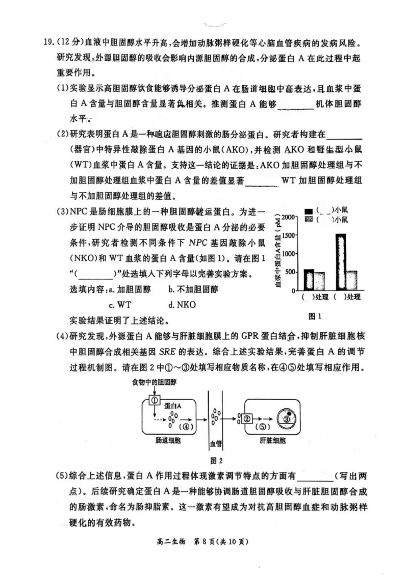 北京市东城区2024-2025学年高二上学期期末考试生物PDF版含答案_2024-2025高二（7-7月题库）_2025年01月试卷_0124北京市东城区2024-2025学年高二上学期期末考试